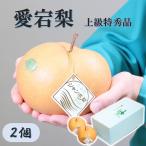  подарок по случаю конца года подарок 2025 префектура Аичи производство love . груша очень большой груша примерно 2.0kg/ коробка 2 шар высокий класс Special превосходящий товар 