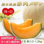 母の日2024 赤肉メロン 熊本県産 2L〜3Lサイズ 約1.0〜1.2kg 化粧箱 ギフト メロン めろん 赤肉 熊本 化粧箱 贈り物 1玉