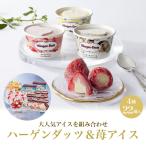 クーポン配布中 お中元 ギフト 2025 ハーゲンダッツ&苺アイス 4種22個入 御中元 夏ギフト アイス セット 詰め合わせ
