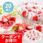 クーポン配布中 お中元 ギフト 2025 春摘み苺アイス 20個入 御中元 夏ギフト アイス アイスクリーム