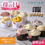 母の日2025 遅れてごめんね ギフト 銀座千疋屋 銀座プレミアムアイス＆ソルベ 10種10個入 ※4/30 15:01以降の注文は5/12以降順次出荷