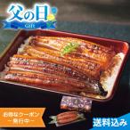父の日2025 ギフト 大森淡水 国産うなぎ蒲焼 長焼 2尾入 国産 うなぎ 蒲焼 長焼 九州産 炭火焼 香ばしい 2尾