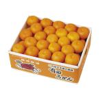  подарок по случаю конца года подарок 2025 Wakayama префектура производство Arita мандарин S кроме того, SS размер итого примерно 2.8kg. лет . зима подарок . новогоднее поздравление холод средний видеть Mai . фрукты 