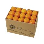  подарок по случаю конца года подарок 2025 Saga префектура производство Karatsu мандарин M кроме того, S размер итого примерно 3kg. лет . зима подарок . новогоднее поздравление холод средний видеть Mai . фрукты 