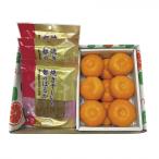 ショッピング干しいも お歳暮 ギフト 2025 焼き干しいもと熊本県産 夢未来みかん 計約1360g 御歳暮 冬ギフトお年賀 寒中見舞い フルーツ