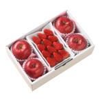  подарок по случаю конца года подарок 2025 [11 месяц последняя декада ~12 месяц последняя декада ] клубника . солнечный .. итого 1200g. лет . зима подарок . новогоднее поздравление холод средний видеть Mai . фрукты 