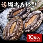 活アワビ 韓国 養殖 海鮮 魚介 魚介