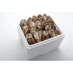  Hiroshima ... есть a ошибка i. есть ..10kg входить (60~80 шт ).. нож есть 