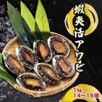 ... морское ушко 1kg 14~16 штук (60-70g/ шт ) seafood морепродукты рыба . морепродукты море производство море. ....... местного производства 