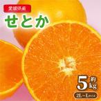 【お値打ち品】せとか とろける食感 愛媛県 約5kg 等級青秀以上 2L〜Lサイズ 約20〜25玉 丸進青果セレクト クール便