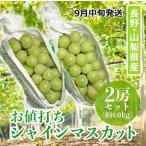 200セット限定・ 9月中旬発送 お値打ち品 シャインマスカット 長野県・山梨県産 約1kg 2房 秀品 クール便 丸進青果セレクト 葡萄 ぶどう マスカット フルーツ 旬