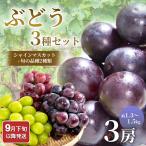 9 месяц последняя декада после отправка виноград 3 вида комплект ( автомобиль in мускат +.. товар вид 2 вид ) примерно 1.3~1.5kg.. виноград мускат выгода фрукты . сезон было использовано комплект 