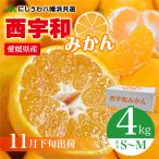 [11 месяц последняя декада отгрузка ] запад . мир мандарин Hachiman . вместе выбор маленький шар S~M размер примерно 4kg