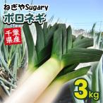  Chiba префектура производство Suagry Polo 3kg лук порей лук-батун . длина лук порей длина лук-батун длина . Chiba префектура Lee ki3kg