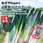  Chiba префектура производство Sugary 4 вид еда . сравнение комплект (Sugary3шт.@*Sugary Polo 1 шт. *SugaryRed3шт.@* кастрюля Chan 3шт.@) лук порей лук-батун . длина лук порей длина лук-батун длина . еда . сравнение комплект 