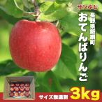 [ Nagano префектура производство ].... яблоко ( солнечный ..) 3kg размер нет выбор другой фрукты Shinshu меласса ввод есть перевод производство прямой 