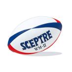  регби мяч world модель WM-2 гонки отсутствует SP-13B 5 номер лампочка Япония регби футбол ассоциация одобрено лампочка мяч SCEPTER Scepter SsD