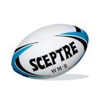  регби мяч world модель WM-2 гонки отсутствует SP-14A 5 номер лампочка Япония регби футбол ассоциация одобрено лампочка мяч SCEPTER Scepter SsD