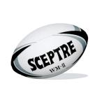  регби мяч world модель WM-2 гонки отсутствует SP-14B 5 номер лампочка Япония регби футбол ассоциация одобрено лампочка мяч SCEPTER Scepter SsD