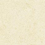 壁紙 砂 内外装用 アレナイトヴェラム ES-5221 スキージーセット belbien EX ベルビアン タキロンマテックス Lク 沖縄県配送不可 代引不可