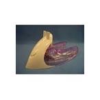  Toshiba TOSHIBA 30020364 паровой утюг для кассета бак только корпус. распродажа не является 