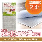 ショッピングダニ 断熱 防ダニほかほかスーパーDX 2畳 Q493