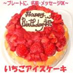 いちごアイスケーキ７号 バースデーアイスケーキ 誕生日アイスケーキ 子供の日パーティー 苺たっぷり ストロベリーケーキ パーティーケーキ 大きいケーキ