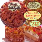 生乳チョコアイスケーキ７号 誕生日ケーキ バースデーケーキ パーティーケーキ 記念日 チョコレートアイス 誕生日チョコレート