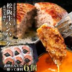 ショッピングハンバーグ 牛肉 松阪牛 ハンバーグ 720g 黒毛和牛 送料無料 (120g×6) お惣菜 お返し お取り寄せ グルメ