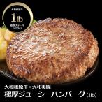冷凍 惣菜 ハンバーグ 大和榛原牛 大和美豚 手造りハンバーグ 1ポンド 1lb. 450g  送料無料 冷凍便
