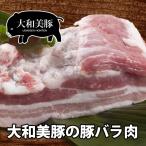 豚肉 大和美豚 ポーク 