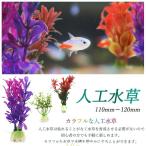 人工草水 熱帯魚 水槽 装飾 飾り 金魚 観賞用 おしゃれ 人工草 水草 アクアリウム グリーン 2個入りSサイズ アクアリウムグッズ
