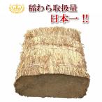 長わら ハーフカット 約50cm 約12kg　わら焼き 農業・園芸用 敷きわら 稲藁 敷き藁 稲わら 藁焼き