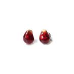 ピアス レディース アクセサリー パルナートポック レトロ ざくろ 赤系 柘榴 ザクロ 果物 フルーツ おしゃれ サージカル Palnart Poc ハンドメイド