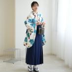 袴 中古 販売 卒業式 着物と袴の2点セット リサイクル着物セット 二尺 ニコアンティーク 袴91cm 袴セット 大学生 重ね衿縫い付済 猫 ねこ ネコ レトロ 販売 購入