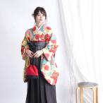 袴 中古 販売 卒業式 着物と袴の2点セット リサイクル着物セット 二尺 ひよこ商店 袴91cm 袴セット 大学生 重ね衿縫い付済 菊 亀甲 古典 レトロ 販売 購入