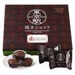 東京駅限定パッケージ 銀座コロンバン (GINZA Colombin) 東京駅 焼きショコラ 1箱12個入り