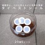 KBファーム タイベストシール 20個 5シート