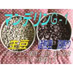 マンデリンコーヒー1・5kg 特別焙煎! 送料無料