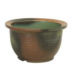  горшок с водой * подпалины тысяч уровень ( водяная лилия горшок * вода лотос горшок ) Shigaraki .15 номер 