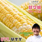 とうもろこし 甘々娘 (かんかんむすめ) 10〜12本 ふぁーむわたなべ