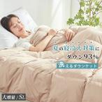ダウンケット 羽毛布団 夏用 贅沢ダウン93% 夏用 掛け布団 洗える羽毛布団 薄手