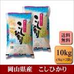 お米　令和7年産　岡山県産　こしひかり　10kg(5kg×2
