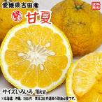 甘夏 (訳あり 10kg) サイズフリー 愛媛県 宇和島 吉田産 農地から直送 送料無料 北海道/沖縄/東北は別途送料 宇和海の幸問屋