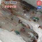  борт кальмар (1~1.5kg) Kochi производство натуральный рефрижератор рейс бесплатная доставка sashimi ... суши небо ..etc. мир море. . оптовый склад 