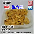 сырой морской еж соль вода морской еж (80g×1 шт ) Ehime натуральный фиолетовый морской еж красный морской еж время ограничено 8 месяц сверху .~10 конец месяца элемент .. море . бесплатная доставка Hokkaido / Okinawa / Tohoku. доставка отдельно 