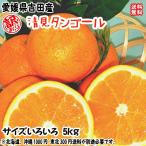 ショッピングせとか 清見タンゴール （訳あり 5kg） フリーサイズ約15〜30個 愛媛 宇和島 吉田産 農地から直送 送料無料 北海道/沖縄/東北は別途送料 宇和海の幸問屋