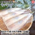 sa полировка g(4~6 шт .900~1000g) рефрижератор Ehime . рисовое поле . производство легкий внизу отделка завершено бесплатная доставка . мир море. . оптовый склад 