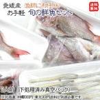 お手軽鮮魚セット 2人前 刺身/煮魚/焼魚用に下処理済み 旬鮮魚 送料込み 浜から直送 宇和海の幸問屋