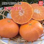 ショッピング甘平 天空の甘平 かんぺい （家庭用 3kg） 愛媛 西宇和 川上産 農地から直送 送料無料 北海道/沖縄/東北は別途送料 宇和海の幸問屋